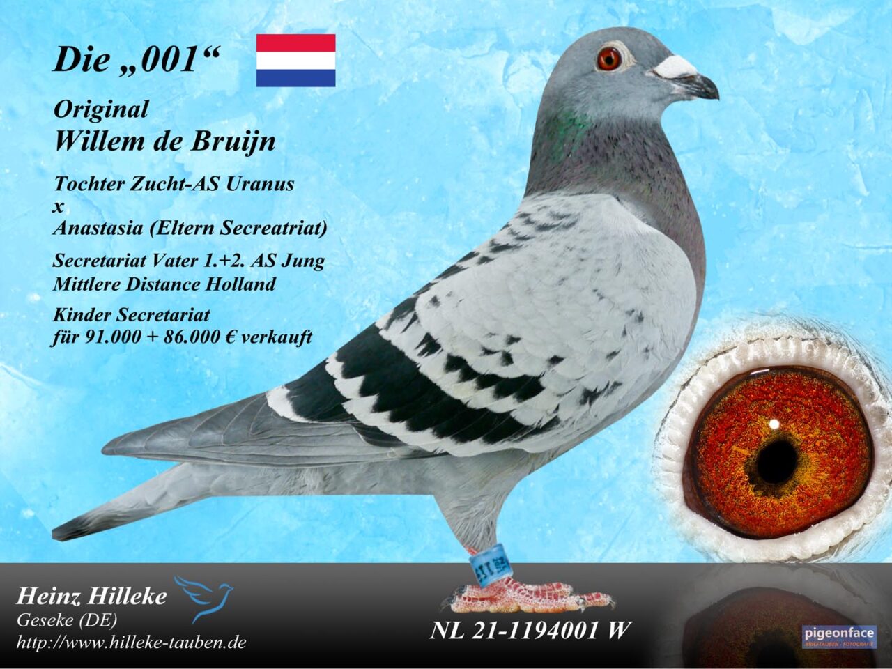 NL 21-1194001