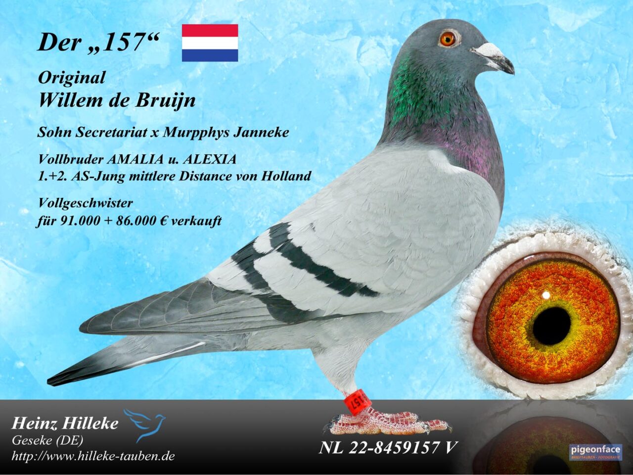 NL 22-8459048