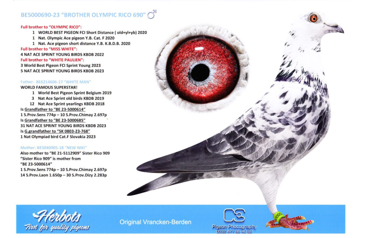 BE23 5000690