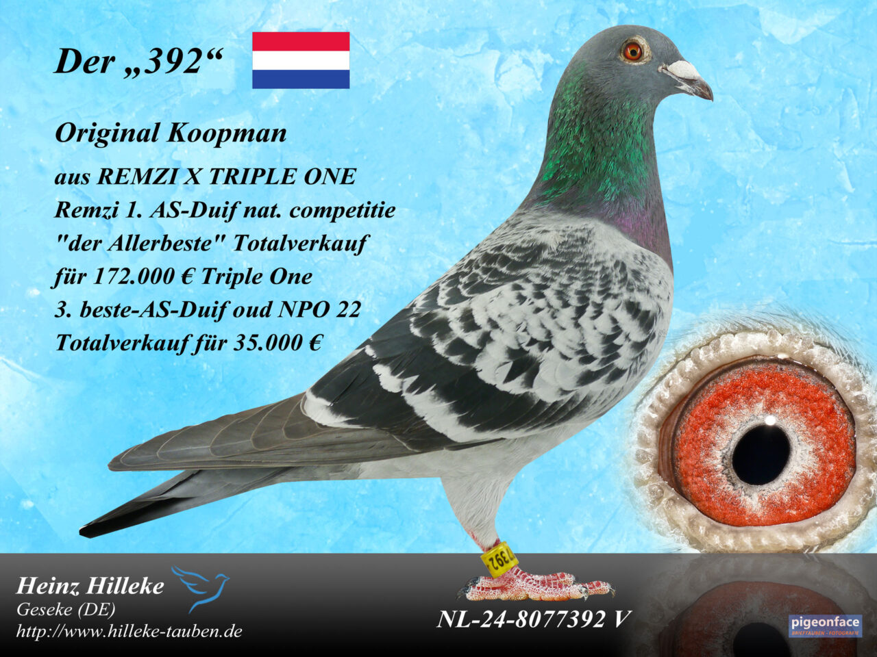NL 24-8077392