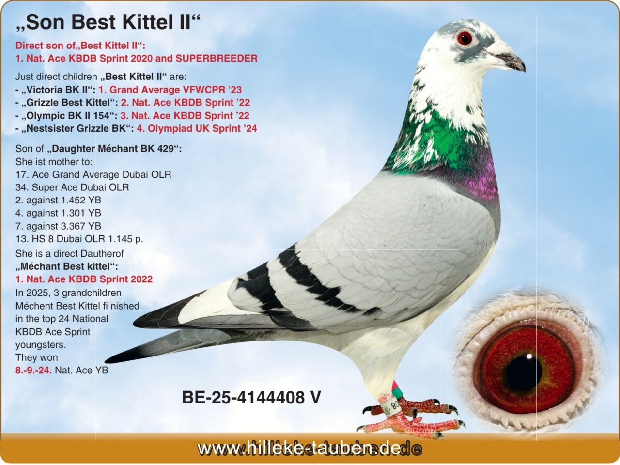 BE-25-4144408 V
